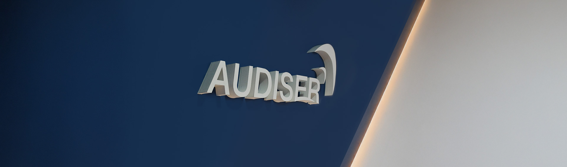 Audiser empresa
